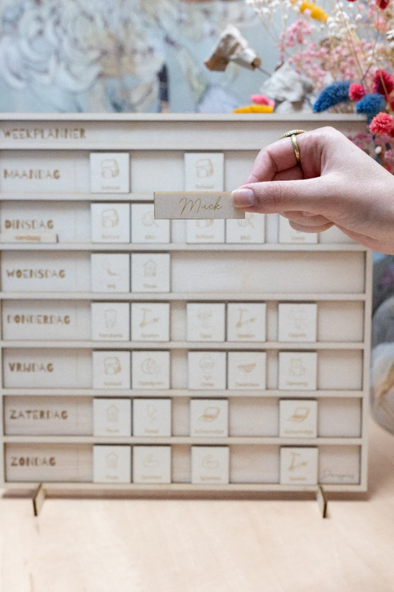 Miniatuur 3